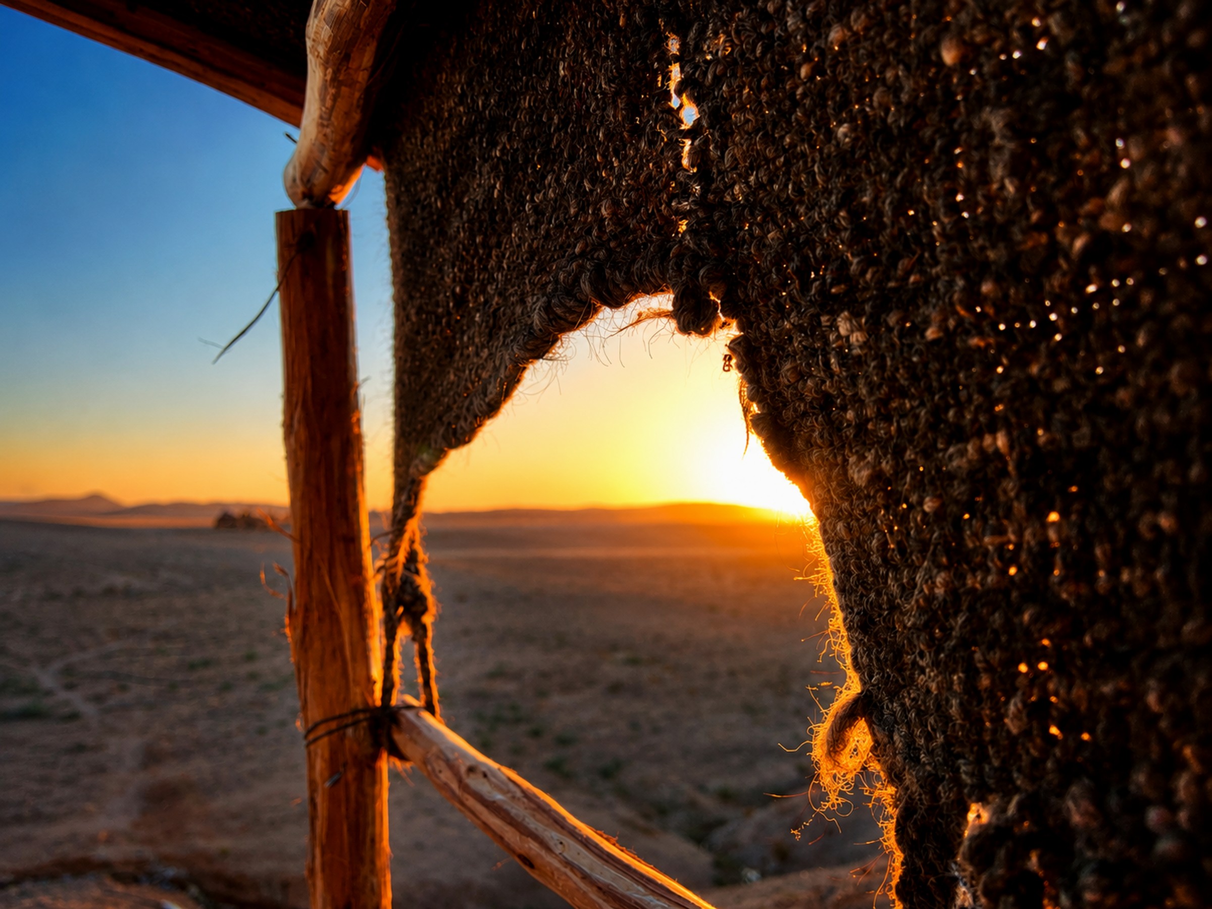 Warm desert light seen through a weathered shelter